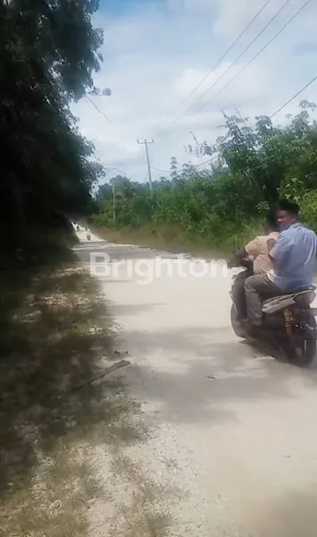 image DIJUAL TANAH 2 HEKTAR SHM DI JALAN SEROJA, TENAYAN RAYA – HARGA 150 RIBU/M² (4)