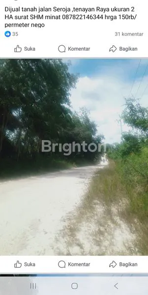 image DIJUAL TANAH 2 HEKTAR SHM DI JALAN SEROJA, TENAYAN RAYA – HARGA 150 RIBU/M² (2)