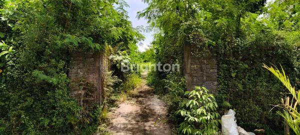 image TANAH PREMIUM DI UBUD SEBELAH HOTEL IBAH (3)
