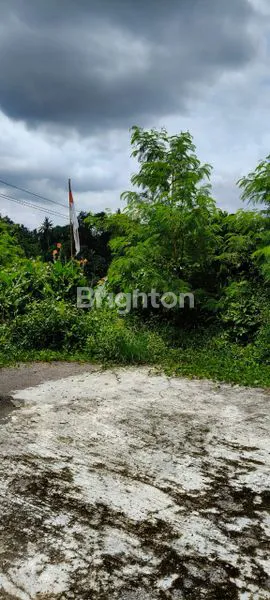 image TANAH PREMIUM DI UBUD SEBELAH HOTEL IBAH (1)