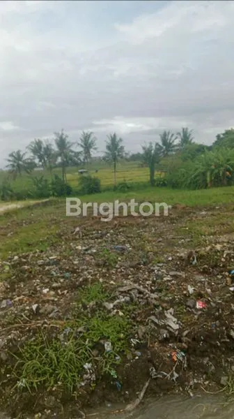 image TANAH PREMIUM DIJUAL – SHM (FREEHOLD) – PINK ZONE\NPREMIUM LAND FOR SALE – FREEHOLD – PINK ZONE (COMMERCIAL)\N (6)