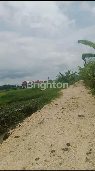 image TANAH PREMIUM DIJUAL – SHM (FREEHOLD) – PINK ZONE\NPREMIUM LAND FOR SALE – FREEHOLD – PINK ZONE (COMMERCIAL)\N (8)