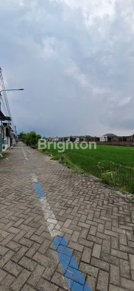 image DISEWAKAN RUMAH BARU MINIMALIS MODERN ASRI VIEW SAWAH DI KAWASAN BUDURAN SIDOARJO (4)