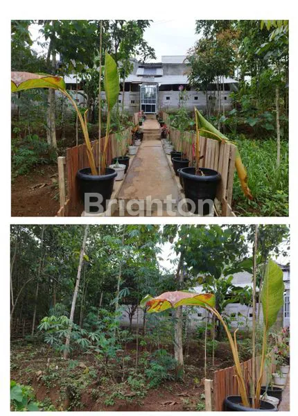 image RUMAH  DI TAMANSARI CIBUGEL SUMEDANG (6)