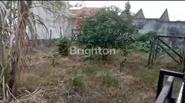 image RUMAH MANGGAR (2)