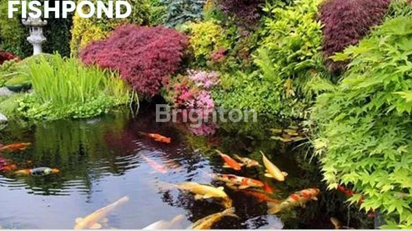 image SKY HILL & RESORT. TYPE 45/78. RUMAH BARU/NEW HOUSE PUNGGUR. BATAM (7)