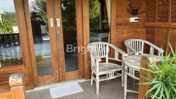 image “HANYA 2 UNIT! VILLA COTTAGE LUMBUNG PRIVATE POOL DI KAWASAN FAVORIT PERERENAN” (1)