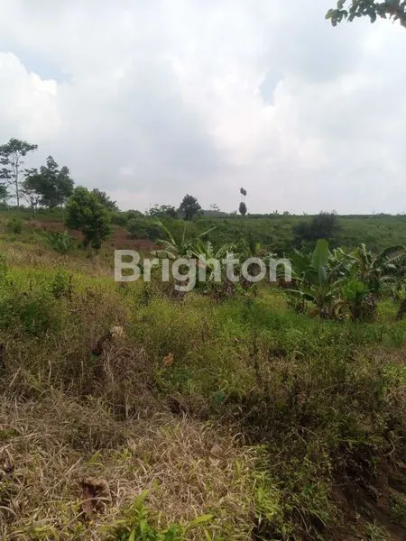 image LAHAN A LUAS 31.000M, COCOK UNTUK INVESTASI MASA DEPAN (2)