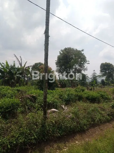 image LAHAN A LUAS 30.710M, COCOK UNTUK INVESTASI KEDAPAN (1)