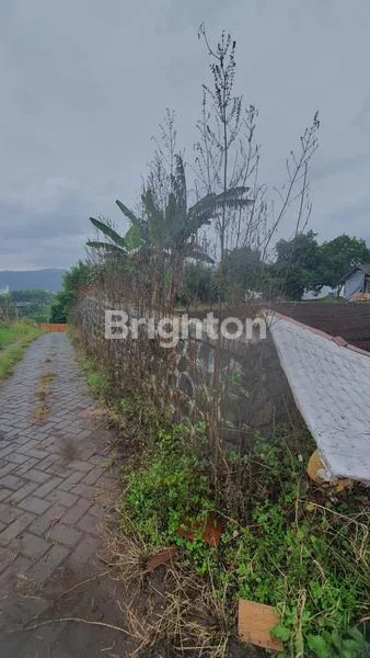 image TANAH LUAS 2762M2 SHM VIEW CANTIK  BUMIAJI KOTA BATU (4)