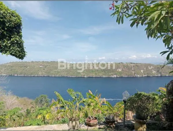 image TANAH 7,5 HEKTAR PINGGIR PANTAI NUSA PENIDA – INVESTASI SUPER PREMIUM! (6)