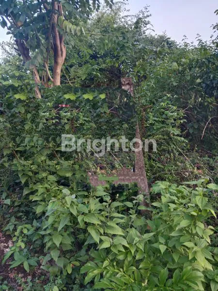 image TANAH LUAS PINGGIR JALAN JIMBARAN COCOK UNTUK HOTEL ATAU VILA (1)