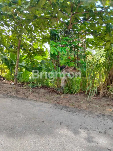 image LAHAN LUAS 3.891M², COCOK UNTUK TANI ATAU WATERPARK (2)