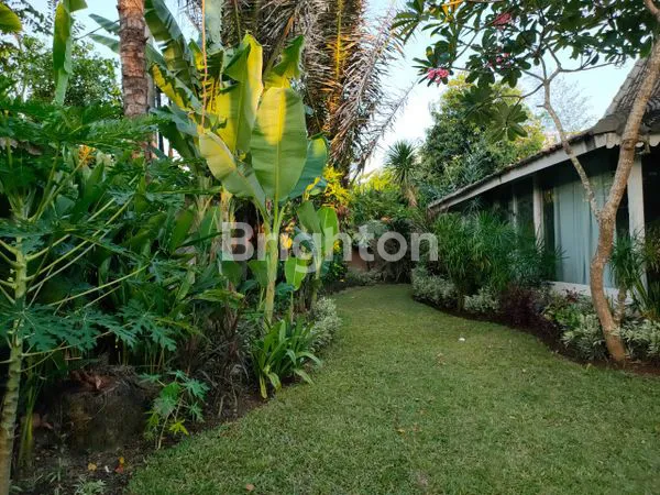 image VILLA LUAS DAN ADA KEBUN DI BATUR SARI, SANUR KAUH (4)