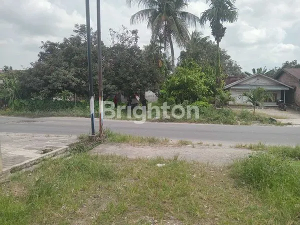 image LAHAN KOSONG SELUAS 2 HEKTAR LEBIH, DARAT KERING, DINKAWASAN MENCIRIM DESA TELAGA SARI, COCOK UNTUK MEMBANGUN KOMPLEK PERUMAHAN, SURAT SHM (3)