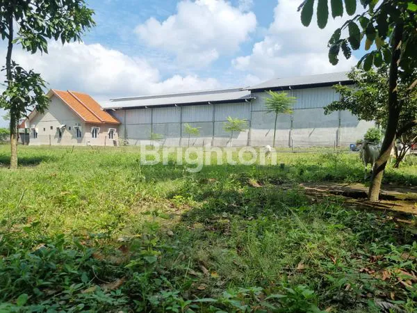 image DIJUAL GUDANG LUAS DEKAT SIMPANG LIMA GUMUL (2)