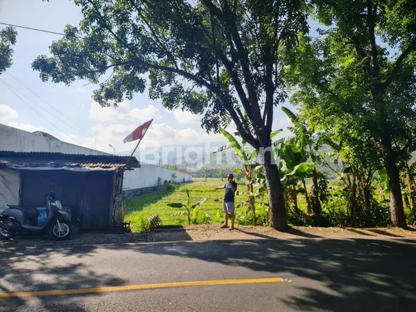 image TANAH DIJUAL DI POROS JALAN DESA TEMUKUS BULELENG BALI (5)