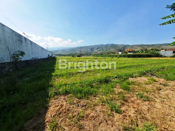 image TANAH DIJUAL DI POROS JALAN DESA TEMUKUS BULELENG BALI (6)