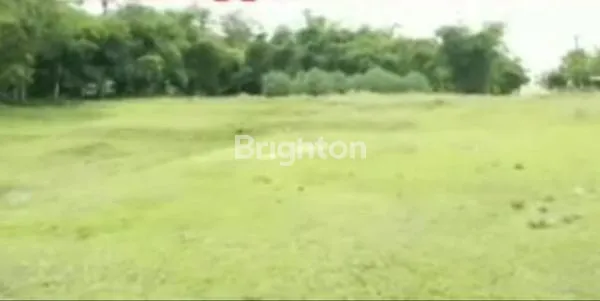 image TANAH LUAS 4.075M² SHM DI SERANG, COCOK PERUMAHAN (1)