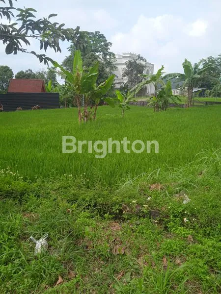 image DIJUAL TANAH POJOK SANGAT STRATEGIS, DEKAT TAMAN WISATA GHANJARAN, TRAWAS, MOJOKERTO  (2)