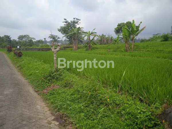 image DIJUAL TANAH POJOK SANGAT STRATEGIS, DEKAT TAMAN WISATA GHANJARAN, TRAWAS, MOJOKERTO  (3)