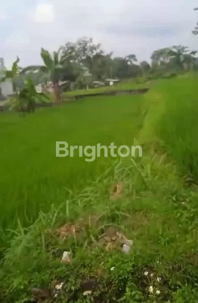 image DIJUAL TANAH POJOK SANGAT STRATEGIS, DEKAT TAMAN WISATA GHANJARAN, TRAWAS, MOJOKERTO  (4)