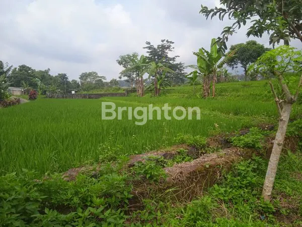 image DIJUAL TANAH POJOK SANGAT STRATEGIS, DEKAT TAMAN WISATA GHANJARAN, TRAWAS, MOJOKERTO  (1)