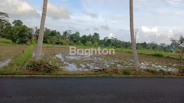 image PELUANG INVESTASI EMAS DI JANTUNG BADUNG! TANAH KOMERSIAL DI NYELATI, MENGWI, BALI (1)