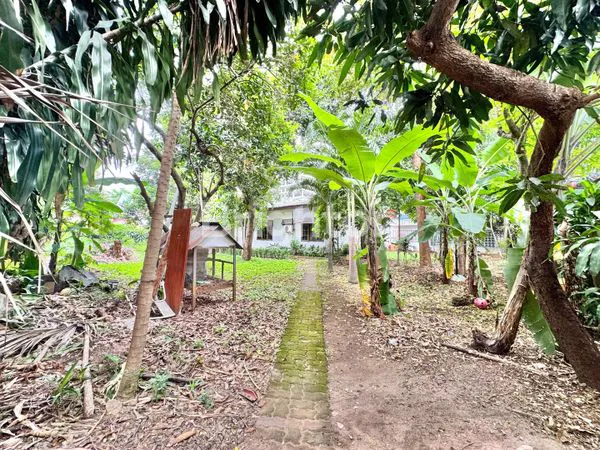 image RUMAH 1 LANTAI DENGAN PEKARANGAN LUAS COCOK DIBANGUN MINI CLUSTER BISA BANGUN 4 LANTAI DALAM KOMPLEK TENANG DI JALAN PANJANG KEBON JERUK JAKARTA BARAT (8)