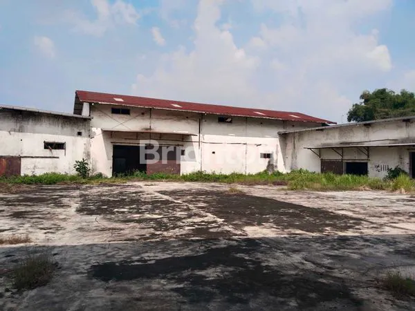 image GUDANG PANDAAN KABUPATEN PASURUAN (7)