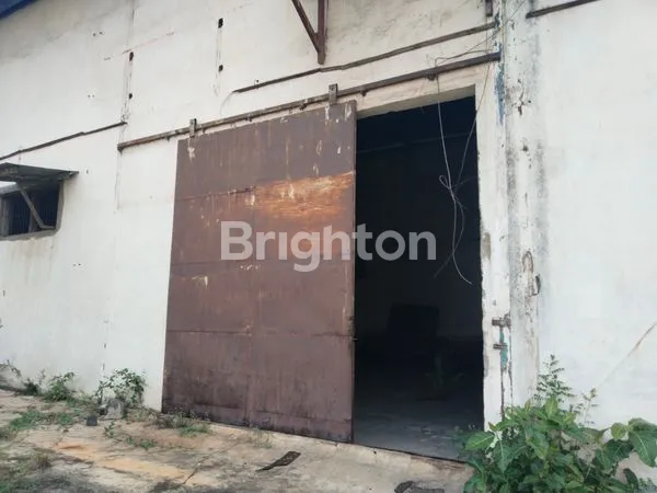 image GUDANG PANDAAN KABUPATEN PASURUAN (6)