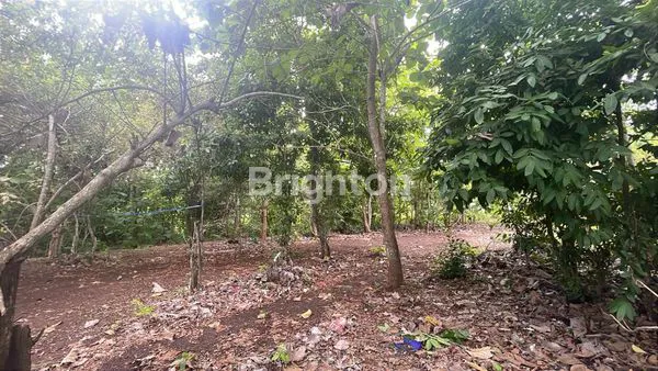 image TANAH SIAP BANGUN DEKAT PANTAI BALANGAN (3)