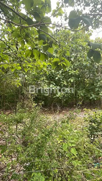 image TANAH SIAP BANGUN DEKAT PANTAI BALANGAN (4)