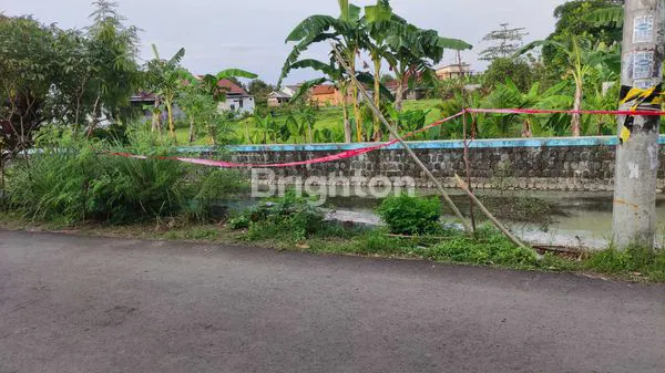 image TANAH CUKUP LUAS (6)