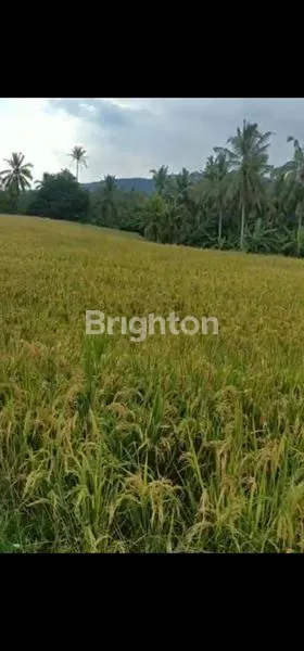 image DIJUAL TANAH STRATEGIS – TABANAN, BALI* (1)