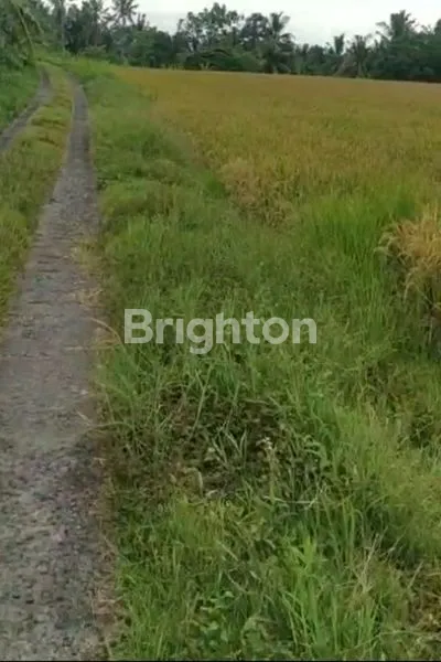 image DIJUAL TANAH STRATEGIS – TABANAN, BALI* (2)