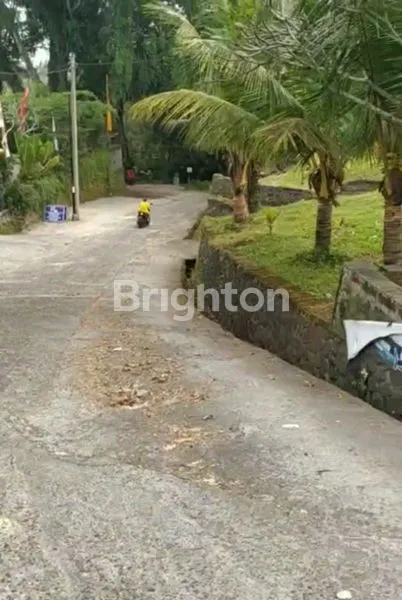 image DIJUAL TANAH STRATEGIS – TABANAN, BALI* (5)