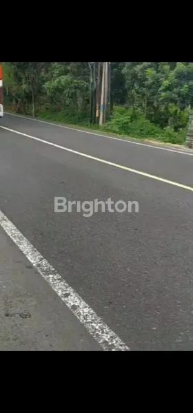 image DIJUAL TANAH STRATEGIS – TABANAN, BALI* (4)