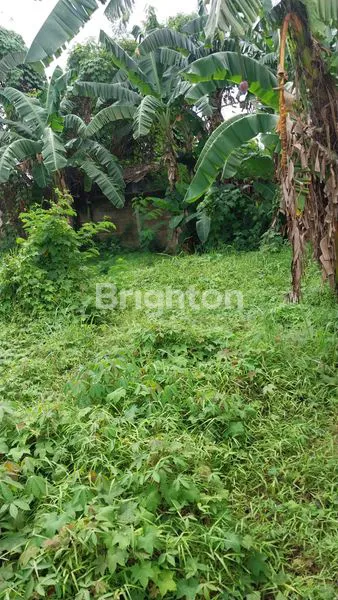 image LAHAN INVESTASI DI ITERA LAMPUNG, 10.180M², AKSES TOL (2)