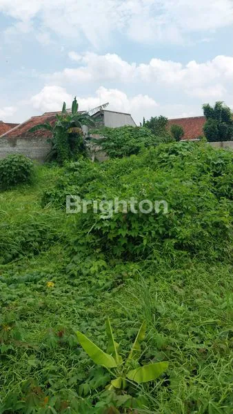 image LAHAN INVESTASI DI ITERA LAMPUNG, 10.180M², AKSES TOL (7)