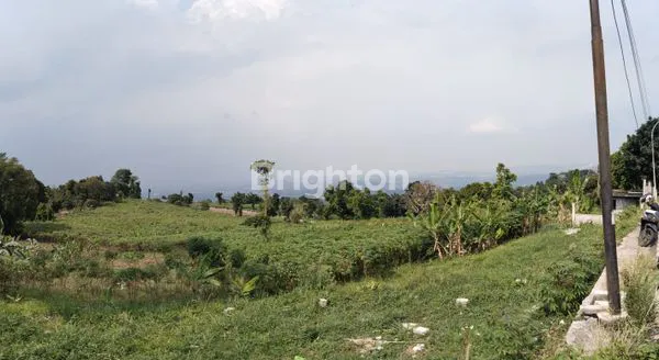 image KESEMPATAN EMAS! MILIKI TANAH VIEW PEGUNUNGAN TERBAIK DI KAWASAN HAMBALANG\N BOGOR (1)