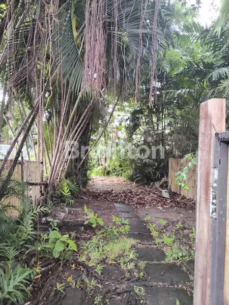 image TANAH SEWA 900 M2 KAWASAN EXPATRIAT DAN LUXURY VILLA DI JLN UTAMA UMALAS BADUNG BALI (8)