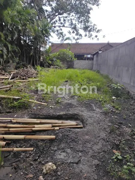 image TANAH SEWA 900 M2 KAWASAN EXPATRIAT DAN LUXURY VILLA DI JLN UTAMA UMALAS BADUNG BALI (5)