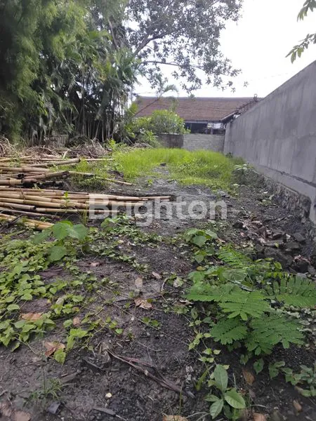 image TANAH SEWA 900 M2 KAWASAN EXPATRIAT DAN LUXURY VILLA DI JLN UTAMA UMALAS BADUNG BALI (2)
