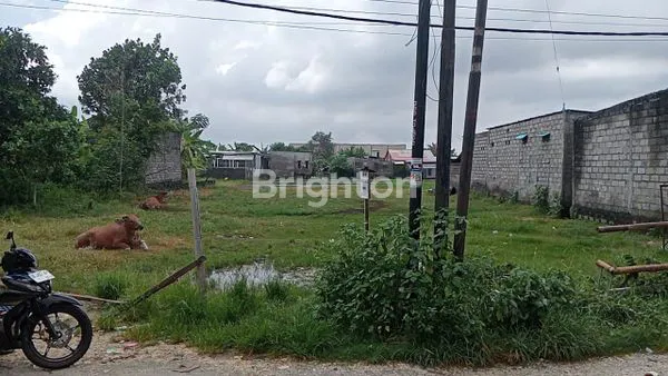 image PELUANG BISNIS TANAH DATAR DI PULAU MOYO (2)