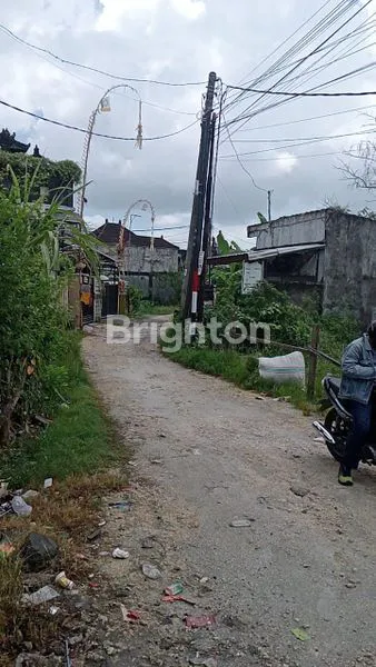 image PELUANG BISNIS TANAH DATAR DI PULAU MOYO (3)