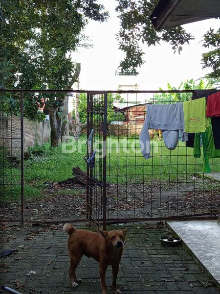 image RUMAH LAMA TANAH LUAS  (3)