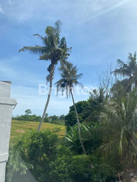 image RUMAH 2 LANTAI SIAP HUNI DI MUNGGU BADUNG, DEKAT PANTAI (3)