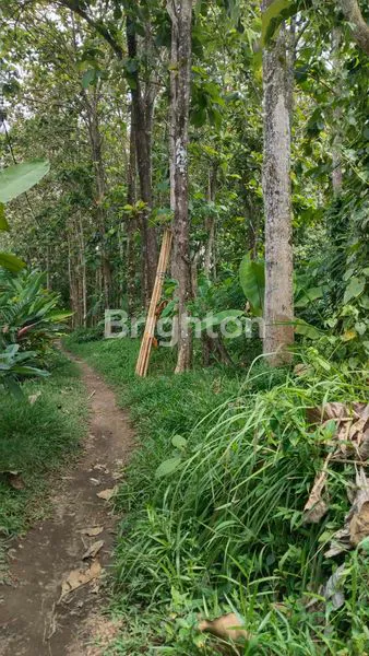 image TANAH ZONA KUNING LINGKUNGAN VILLA PREMIUM LOKASI PEJENG GIANYAR (2)
