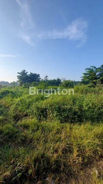 image LAHAN STRATEGIS 7 HA DI TANGERANG, SHM SIAP BANGUN (5)